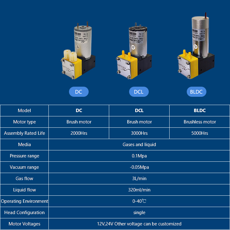 YW02-DCL_11.jpg