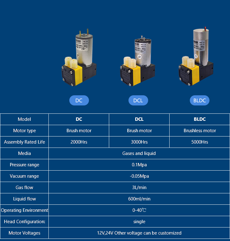 YW05-DCL_10.jpg